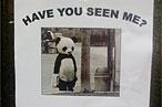 Sad Panda Is Missing!