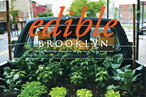 Brooklyn Food Fight!