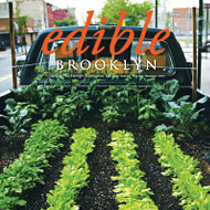 Brooklyn Food Fight!