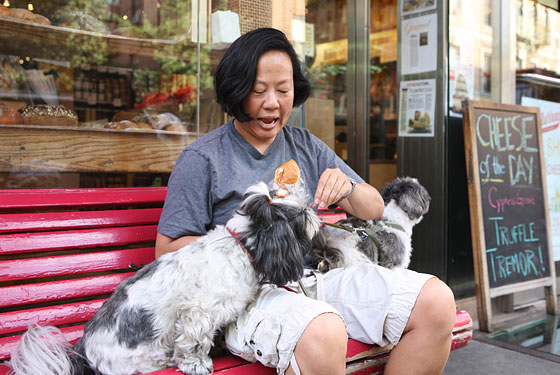 Chef Anita Lo likes the panini at Murray's Cheese, and so do her dogs, Adzuki (who she calls Zucchini), left, and Mochi, right.