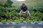 Locavore Summer Film Festival