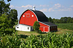 Independent Farmers Tell Big-Agra Horror Stories to Obama