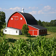 Independent Farmers Tell Big-Agra Horror Stories to Obama