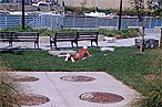 Well, that <A href="http://nymag.com/daily/intel/2009/09/who_is_this_nearly_naked_dude.html">explains this</a>.