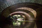 New York City’s Wilderness, Courtesy of Joel Meyerowitz