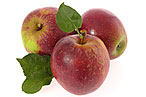 No, Really, Cider’s Back!