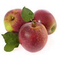 No, Really, Cider’s Back!