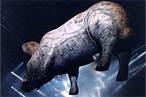 Contest: That’s Some Fictional-Pig Recipe!