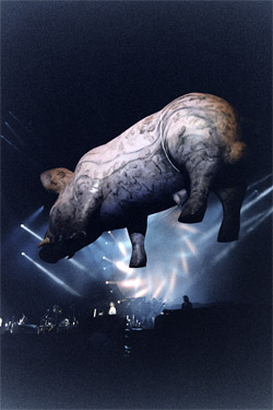 Contest: That’s Some Fictional-Pig Recipe!