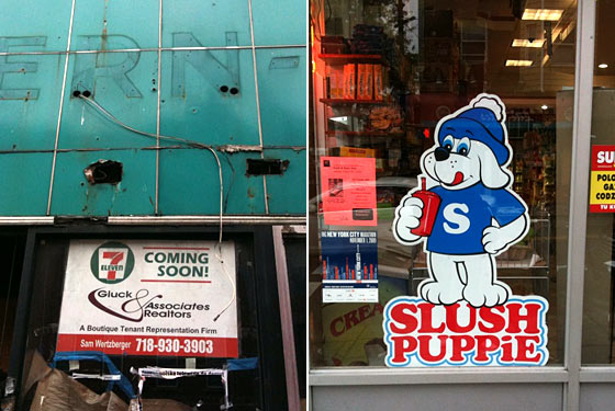 Greenpoint Braces for Slurpee Versus Slush Puppie Showdown
