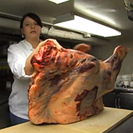Shanna Pacifico has a cow.
