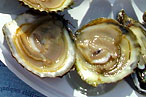 Shucking A! Prime Meats Gets Into Oyster Game