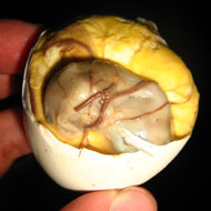 With Elvie’s Gone, Where in the World Will We Get Balut?
