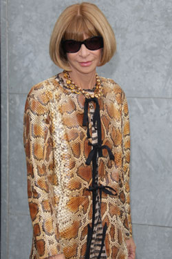 Is Anna Wintour Being a Smidge Inconsistent About Miss Lily’s?