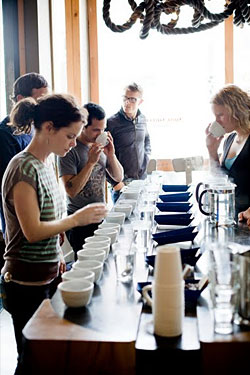 S.F.’s Four Barrel Coffee Rolls Into New York, Courtesy of Maialino’s Resident Caffeine Fiend