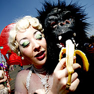 Something that would not merit a second glance on Coney Island.