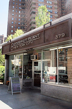 Doughnut Plant Helps FAO Schwarz Shoppers Cope