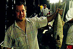 Forget BYOB, Bring Your Own Fish!