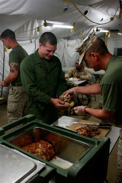 Feeding time.