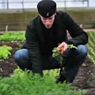 Dan Barber Is a Man of Carrots and Kangol Hats