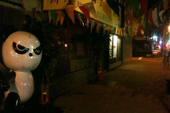 Mystery of the Kung Fu Bing Panda Deepens in Bensonhurst