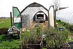 The greenhouse at the Mecox Bay farm stand.