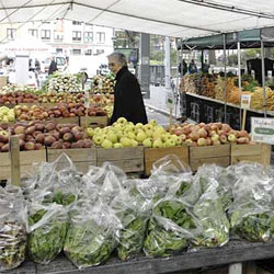 An actual market.