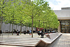 Lincoln Center Gets an Outdoor Eatery Ahead of Anonymous Benno Project