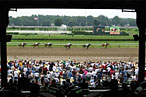 Horse Strides: Saratoga Gets a Shake Shack While The Frankies Do Belmont Stakes