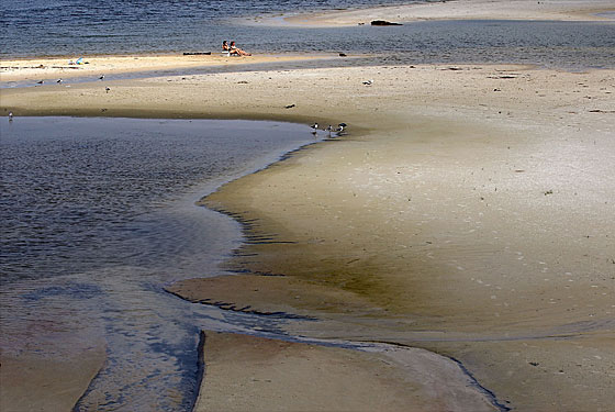 Props to those two people for relaxing on this disgusting beach.