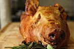 Suckling pig at Peter Hoffman's Back Forty.