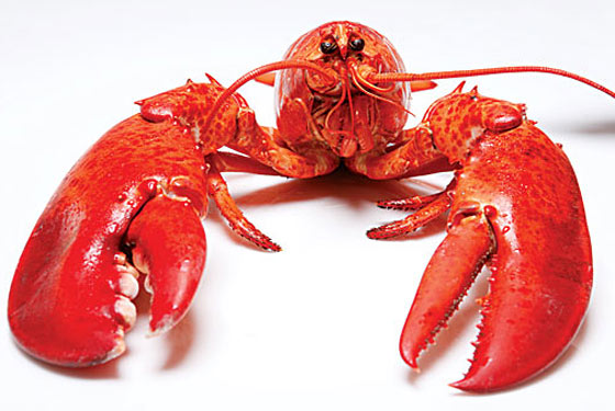 Lobster Goes Lowbrow; New York’s Own Theme Restaurants