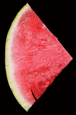 Watermelons, Watermelons Everywhere