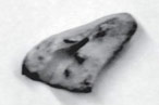 Lawsuit: Woman Found Dog Tooth in Her Chinese Food