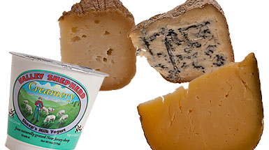 From left: yogurt, hard goat, blue, and Parmesan Gruy&egrave;re.
