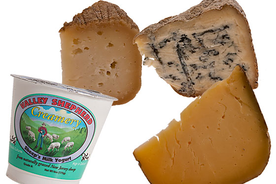 From left: yogurt, hard goat, blue, and Parmesan Gruyère.