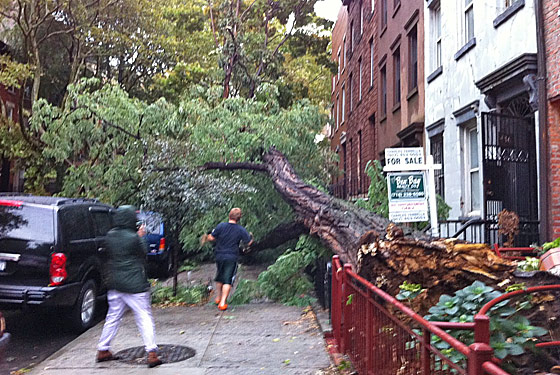 State Street, between Nevins and Third Avenue.