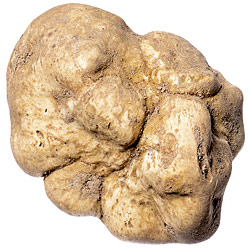 truffle don shavings eataly savings blow