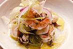 Osteria Morini's seafood salad.