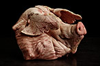 This little piggy went to ...