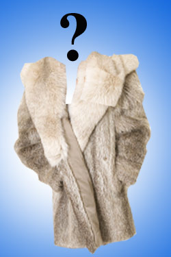 The Case of the Vanishing Coats