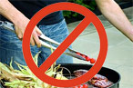 You Are So Stupid If You Use Tongs When You Cook