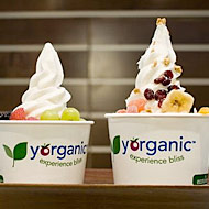 Yorganic Opens in Tribeca Amid Fro-Yo Meltdown