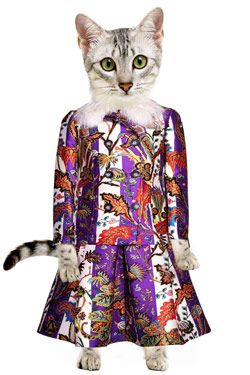 Celebrity Dressup on Cristobal Balenciaga Used To Dress Up His Cat   The Cut