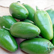 Giant Jalapeños Bred Specifically for Jalapeño Poppers