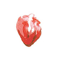 Pig's heart is only the beginning, people.