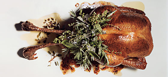 Feast Recipes