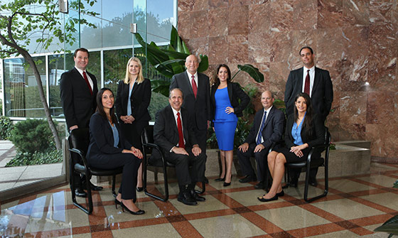 Esthere Schonfeld, Esq., Schonfeld & Goldring, LLP