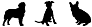 Everything Guide to Getting a Dog