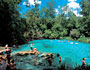 big bend florida